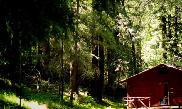 Cabin at EHC.