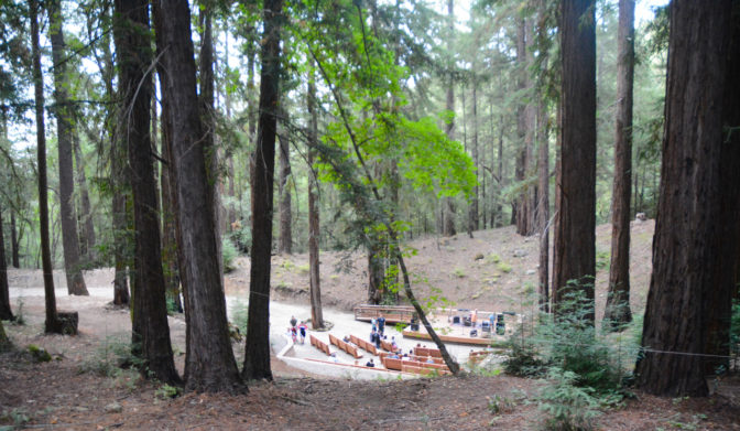 The terraced seating and stage of the Redwood Grove Theater surrounded by lush redwoods.