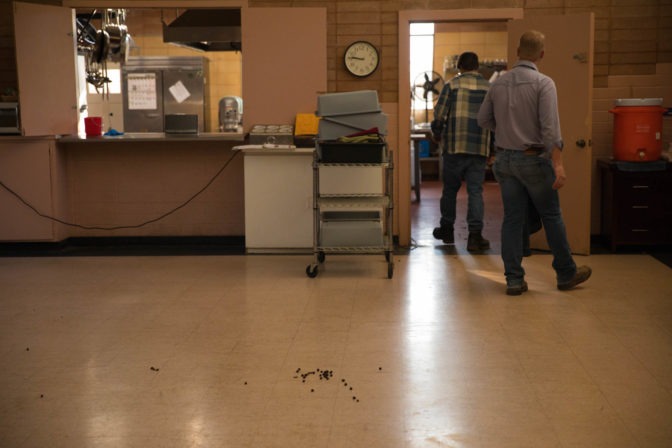 The telltale evidence of how the goats survived: goat droppings in our dining hall.