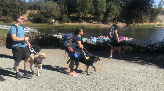 Image: The people hike around a reservoir with guide dogs.