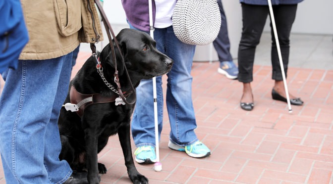 So You Think You Want a Guide Dog Info Session is December 10
