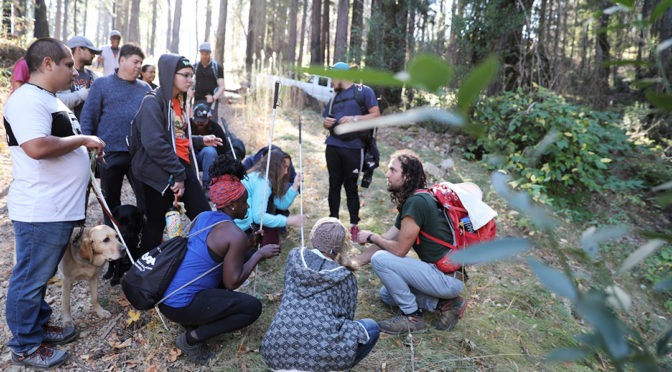A group of blind and low vision campers with their white canes and guide dogs, exploring flora at EHC while the sun rays peeking through redwood trees fill the background. Photo by Sarika Dagar