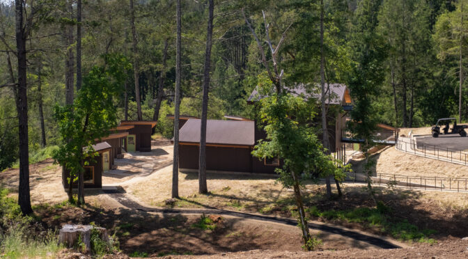 2025 Providers Weekend at Enchanted Hills Camp