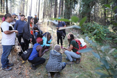 A group of blind and low vision campers with their white canes and guide dogs, exploring flora at EHC while the sun-rays peeking through redwood trees fill the background.