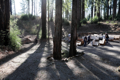 The base of two redwood trees are in the foreground and to the right, EHC volunteers work to treat the Redwood Grove benches.
